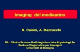 R. Canini, A. Bazzocchi Imaging del mediastino Dip. Clinico Scienze Radiologiche e Istocitopatologiche Sezione Diagnostica per Immagini Università di Bologna.