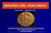 IMAGING DEL PANCREAS Dipartimento Clinico di Scienze Radiologiche e Istocitopatologiche Sezione Diagnostica per Immagini Università di Bologna Romeo Canini.
