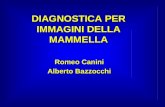DIAGNOSTICA PER IMMAGINI DELLA MAMMELLA Romeo Canini Alberto Bazzocchi.