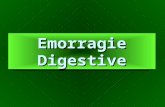 Emorragie Digestive. EMORRAGIE DIGESTIVE SUPERIORI origine prossimale al Treitz (85 - 90%) EMORRAGIE DIGESTIVE INFERIORI origine distale al Treitz (10.