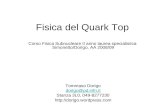 Fisica del Quark Top Corso Fisica Subnucleare II anno laurea specialistica Simonetto/Dorigo, AA 2008/09 Tommaso Dorigo dorigo@pd.infn.it Stanza 3L0, 049-8277230.