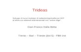 Trideas Trento – Bari – Trieste (dot 5) - FBK-irst Sviluppo di nuovi rivelatori di radiazioni/particelle per HEP al silicio con elettrodi tridimensionali.