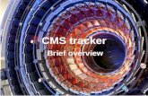CMS tracker Brief overview. Cose e a che cosa serve Serve per misurare ad esempio: –leptoni isolati dai decadimenti di W e Z (+ muon detector) –elettroni.