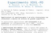 Esperimento XDXL-PD P. Rossi(C. L.), G. Moschini, A. Battistella, M. Bello, G. Gennaro La Sezione di Padova (gruppo di Padova – Legnaro), entra per il.