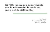 KOPIO: un nuovo esperimento per la misura del branching ratio del decadimento A. Nappi Università di Perugia Padova 4/11/04.