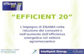 EFFICIENT 20 Limpegno di ENAMA nella riduzione dei consumi e nellaumento dellefficienza energetica nel settore agromeccanico Giulio FANCELLO - ENAMA giulio.fancello@enama.it.
