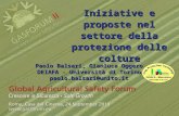 Iniziative e proposte nel settore della protezione delle colture Paolo Balsari, Gianluca Oggero DEIAFA - Università di Torino paolo.balsari@unito.it.