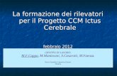 La formazione dei rilevatori per il Progetto CCM Ictus Cerebrale febbraio 2012 Cosenza, 9 ottobre 2010 GRUPPO DI LAVORO: M.F.Cappa, M.Mantovani, S.Casarotti,