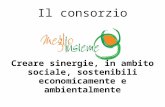 Il consorzio Creare sinergie, in ambito sociale, sostenibili economicamente e ambientalmente.
