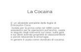 La Cocaina E un alcaloide estraibile delle foglie di Eritroxylon Coca. Isolata per la prima volta nel 1880 come anestetico per le operazioni sullocchio,