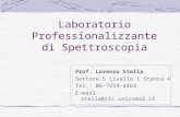 Laboratorio Professionalizzante di Spettroscopia Prof. Lorenzo Stella Settore 5 Livello 1 Stanza 4 Tel.: 06-7259-4463 E-mail: stella@stc.uniroma2.it.