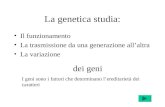 La genetica studia: Il funzionamento La trasmissione da una generazione allaltra La variazione dei geni I geni sono i fattori che determinano lereditarietà