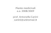 Piante medicinali a.a. 2008/2009 prof. Antonella Canini canini@uniroma2.it.