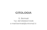 CITOLOGIA S. Beninati Tel. 0672594227/228 e-mail:beninati@