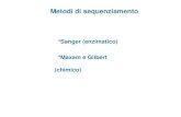Metodi di sequenziamento Sanger (enzimatico) Maxam e Gilbert (chimico)