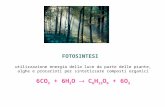 FOTOSINTESI utilizzazione energia della luce da parte delle piante, alghe e procarioti per sintetizzare composti organici 6CO 2 + 6H 2 O C 6 H 12 O 6 +
