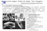 Università degli Studi di Roma Tor Vergata Dipartimento di Ingegneria Meccanica 1 I metalli cellulari a celle chiuse ed aperte stanno conquistando un grande.