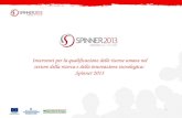 1 Interventi per la qualificazione delle risorse umane nel settore della ricerca e della innovazione tecnologica: Spinner 2013.