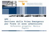 PROMETEO gennaio 14 GPE : Gestione della Prima Emergenza per frane in aree urbanizzate Referente progetto: Monica Papini.