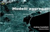 Modelli aggregati Andrea Castelletti Politecnico di Milano MCSA 07/08 L15.