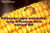 Riflessioni agro-ambientali sulla diffusione delle colture GM Marco Mazzoncini.