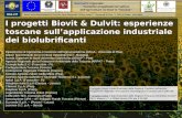 I progetti Biovit & Dulvit: esperienze toscane sullapplicazione industriale dei biolubrificanti I progetti Biovit & Dulvit: esperienze toscane sullapplicazione