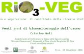 Ozono e vegetazione: il contributo della ricerca italiana Pisa, 24 Novembre 2006 Venti anni di biomonitoraggio dellozono Cristina Nali Dipartimento di.
