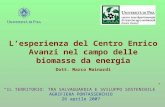 Lesperienza del Centro Enrico Avanzi nel campo delle biomasse da energia Dott. Marco Mainardi IL TERRITORIO: TRA SALVAGUARDIA E SVILUPPO SOSTENIBILE AGRIFIERA.