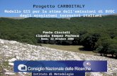 Paolo Ciccioli Claudia Kemper Pacheco Roma, 22 Ottobre 2006 Progetto CARBOITALY Modello GIS per la stima dellemissioni di BVOC dagli ecosistemi terrestri.