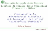 Milano, 16 Giugno 2010 Come gestire la biodiversità microbica dei formaggi e dei salami tradizionali lombardi? Milena Brasca Consiglio Nazionale delle.