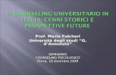 Prof. Mario Fulcheri Università degli studi G. dAnnunzio SEMINARIO COUNSELING PSICOLOGICO Roma, 18 dicembre 2009.