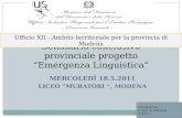 MERCOLEDÌ 18.5.2011 LICEO MURATORI, MODENA Seminario conclusivo provinciale progetto Emergenza Linguistica Ufficio XII - Ambito territoriale per la provincia.