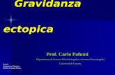 Gravidanza ectopica Gravidanza ectopica Prof. Carlo Pafumi Dipartimento di Scienze Microbiologiche e Scienze Ginecologiche Università di Catania. Autori: