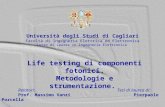 Università degli Studi di Cagliari Facoltà di Ingegneria Elettrica ed Elettronica Corso di Laurea in Ingegneria Elettronica Relatori:Tesi di laurea di: