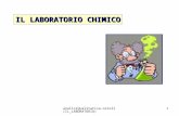 AnalisiQualitativa- orioli(IL_LABORATORIO) 1 IL LABORATORIO CHIMICO.