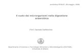 Il ruolo dei microrganismi nella digestione anaerobica Prof. Daniele Daffonchio Dipartimento di Scienze e Tecnologie Alimentari e Microbiologiche (DISTAM),