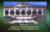 Tra scuola e museo: percorsi di educazione al paesaggio Monica Celi Museo di Storia Naturale ed Archeologia di Montebelluna TV Monica Celi Museo di Storia.