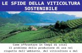 LE SFIDE DELLA VITICOLTURA SOSTENIBILE Come affrontare in tempi di crisi il problema della produzione di uva nel rispetto dellambiente, del viticoltore.