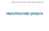 TRASFEZIONE GENICA CORSO DI BIOLOGIA CELLULARE e MOLECOLARE 2008.