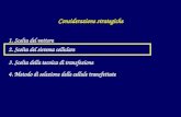 Considerazione strategiche 2. Scelta del sistema cellulare 3. Scelta della tecnica di transfezione 4. Metodo di selezione delle cellule transfettate 1.