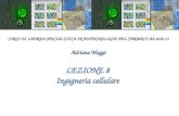 LEZIONE 8 Ingegneria cellulare CORSO DI LAUREA SPECIALISTICA IN BIOTECNOLOGIE DEL FARMACO AA 2010-11 Adriana Maggi.