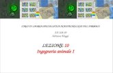 LEZIONE 10 Ingegneria animale I CORSO DI LAUREA SPECIALISTICA IN BIOTECNOLOGIE DEL FARMACO AA 208-09 Adriana Maggi.