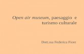Open air museum, paesaggio e turismo culturale Dott.ssa Federica Fiore.