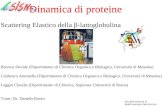 Società Italiana di Spettroscopia Neutronica Scattering Elastico della β-lattoglobulina Barreca Davide (Dipartimento di Chimica Organica e Biologica, Università