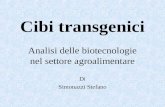 Cibi transgenici Analisi delle biotecnologie nel settore agroalimentare Di Simonazzi Stefano.
