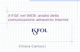 Il FSE nel WEB: analisi della comunicazione attraverso Internet Chiara Carlucci.