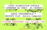 SISTEMA ENDOCRINO1 LICEO SCIENTIFICO STATALE LEONARDO da VINCI di FIRENZE CORSO SPERIMENTALE F DOCENTE Prof. Enrico Campolmi SISTEMA ENDOCRINO cap. 31.