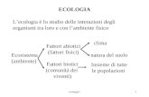 Ecologia11 ECOLOGIA Lecologia è lo studio delle interazioni degli organismi tra loro e con lambiente fisico Ecosistema (ambiente) Fattori abiotici (fattori.