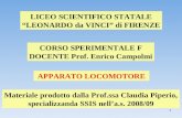 1 LICEO SCIENTIFICO STATALE LEONARDO da VINCI di FIRENZE CORSO SPERIMENTALE F DOCENTE Prof. Enrico Campolmi APPARATO LOCOMOTORE Materiale prodotto dalla.