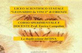 La duplicazione del DNA 1 LICEO SCIENTIFICO STATALE LEONARDO da VINCI di FIRENZE CORSO SPERIMENTALE F DOCENTE Prof. Enrico Campolmi La duplicazione del.